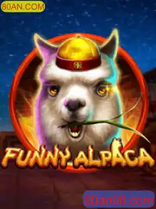 Explore o Mundo Divertido de FunnyAlpaca